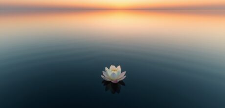 Mindfulness for Daily Anxiety Management