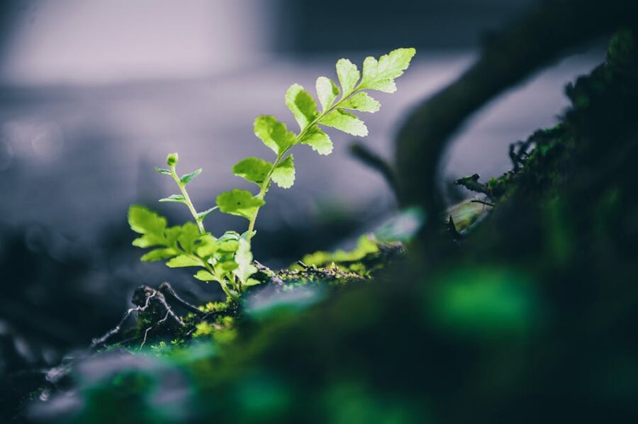 Understanding Growth vs. Value Investing: Key Differences and Strategies