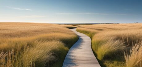 Minimalism Journey: Life Simplified for Clarity