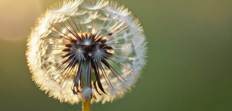Stranger Kindness: Inspiring Humanity Every Day