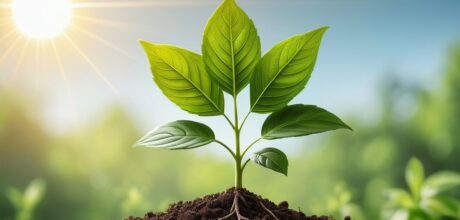 Understanding the Gradual Increase in Saving Rates