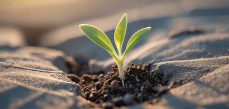 Unlocking Your Potential: Creativity Challenge Daily Practice